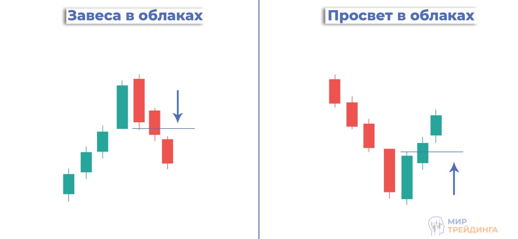 просвет.jpg