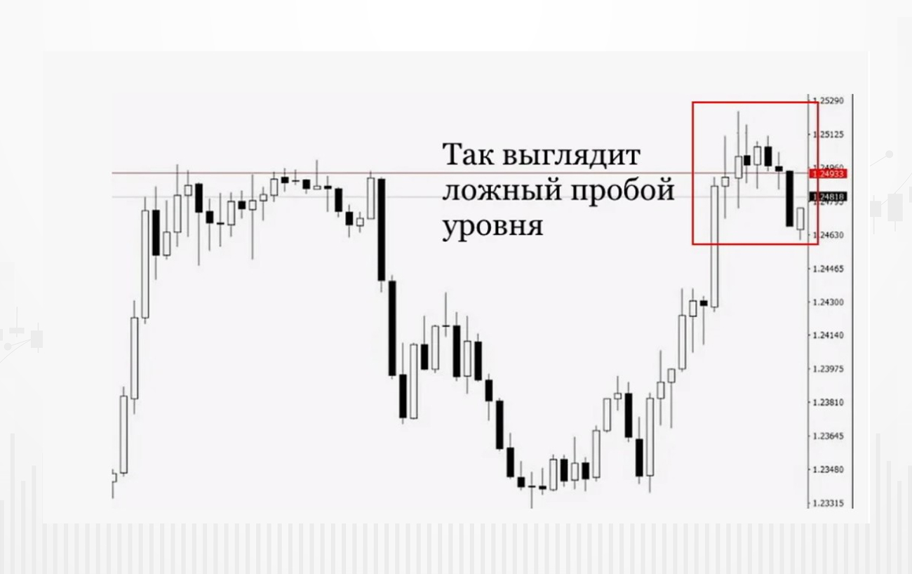 Изображение-1 (8) (1).jpg