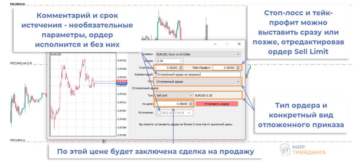 Screenshot_6 (4) (1).jpg