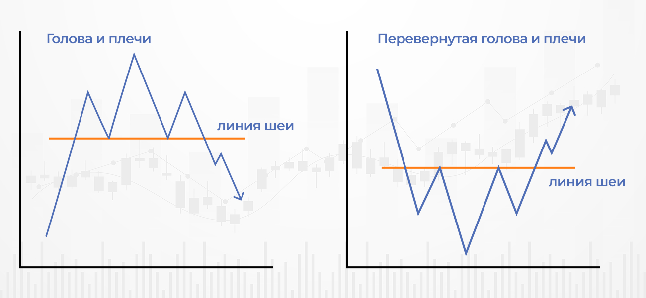 голова и плечи (3) (1).jpg