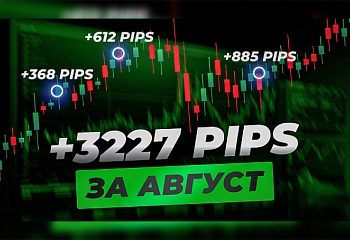 +3227 PIPS | Результаты онлайн торговли за август