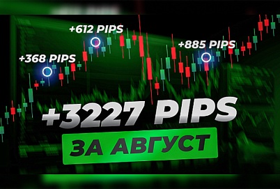 +3227 PIPS | Результаты онлайн торговли за август