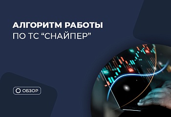 Алгоритм №4: учимся работать по стратегии “Снайпер”