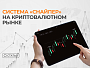 Универсальный паттерн: как система «Снайпер» показывает результат на криптовалютном рынке