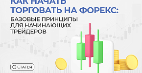 Как начать торговать на Форекс: базовые принципы для начинающих трейдеров