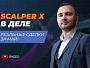 Скальпинг без эмоций: как торгует Scalper X на реальном счёте?