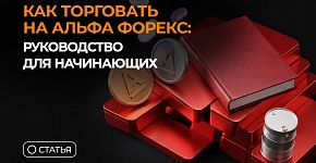 Как торговать на Альфа Форекс: руководство для начинающих