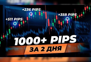 Результаты онлайн-торговли | Антон Ганн