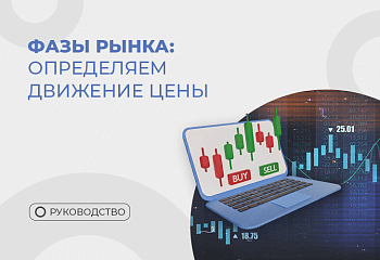 Как анализировать чистый график