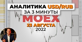Аналитика USD/RUB на Московской бирже 24 августа
