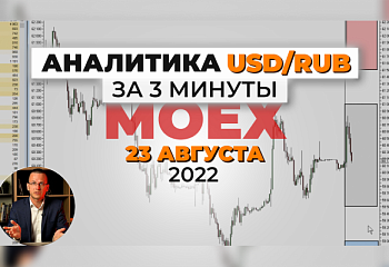 Аналитика USD/RUB на Московской бирже 24 августа