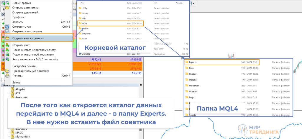 Тестирование советника Тестирование советника